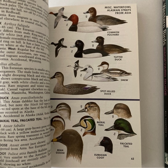 2 Western Birds Identification Books Peterson Field Guides Bird Watcher's Digest - Picture 2 of 11